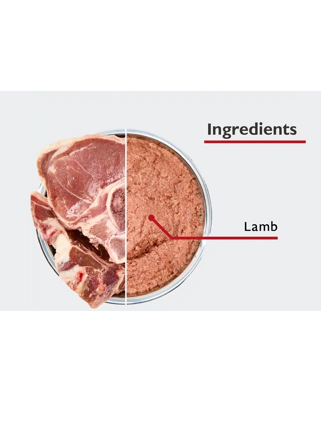 بيور لايف طعام فاخر للجراء بنكهة لحم الضأن - 400 غرام (عبوة من 12 قطعة) - Image 3
